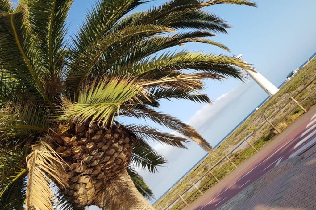 Front Beach Jandia Apartment Morro Jable Exterior foto